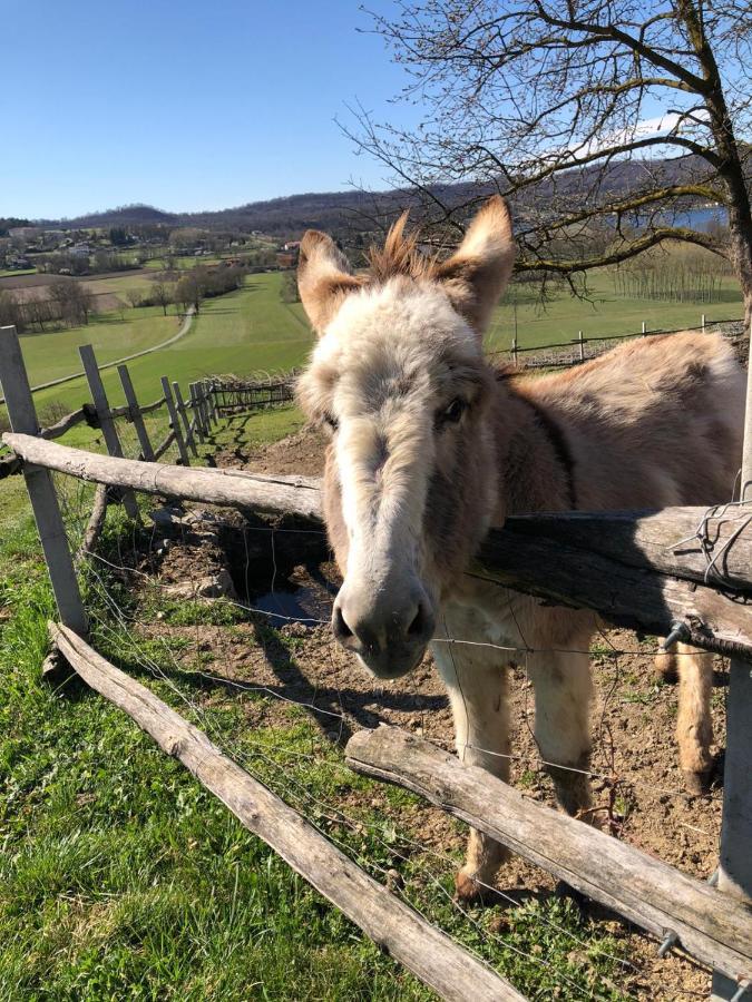 Cascina Coste Villa Roppolo Dış mekan fotoğraf
