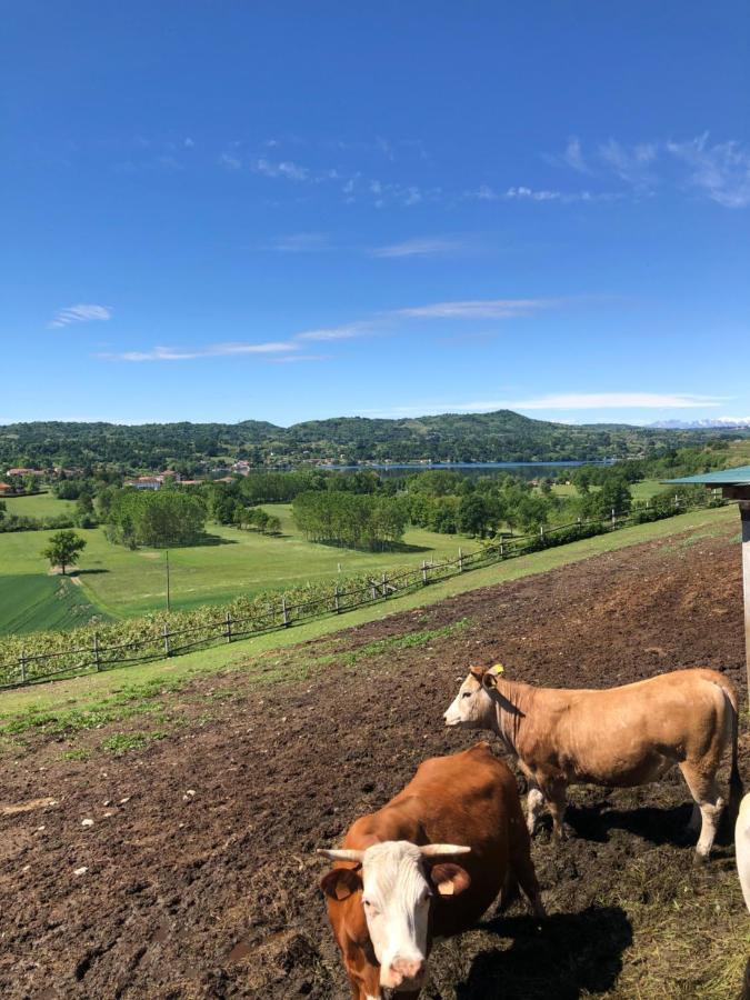 Cascina Coste Villa Roppolo Dış mekan fotoğraf