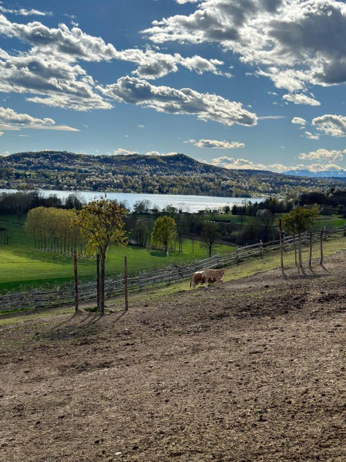 Cascina Coste Villa Roppolo Dış mekan fotoğraf