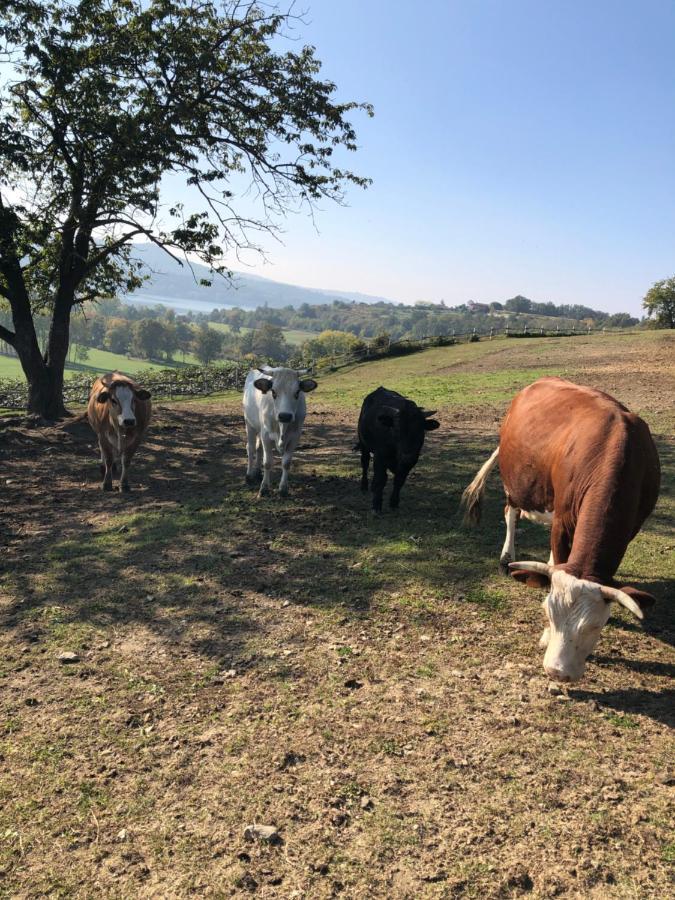 Cascina Coste Villa Roppolo Dış mekan fotoğraf