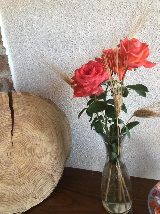 Cascina Coste Villa Roppolo Dış mekan fotoğraf